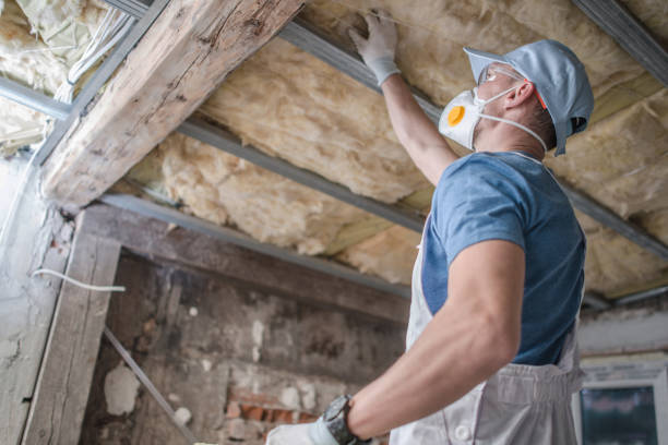 Best Geographic-Specific Insulation Services in Scaggsville, MD