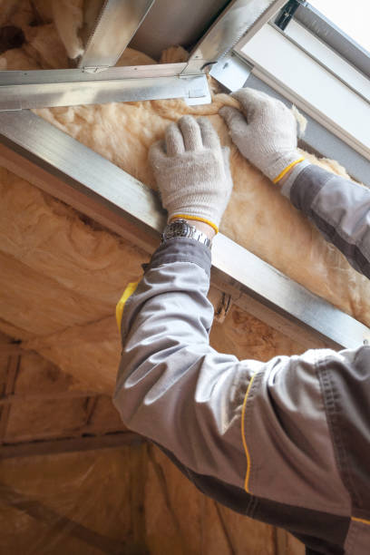 Best DIY Insulation Kits and Guidance in Scaggsville, MD